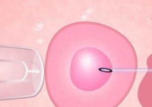 高龄女性做三代试管放价格囊胚好？