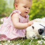 红细胞沉降率25偏高做试管有影响吗？