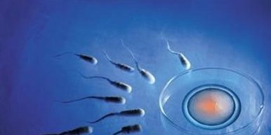 怀孕试管如何调理身体？北京哪家医院是试管口碑比较好的医院？