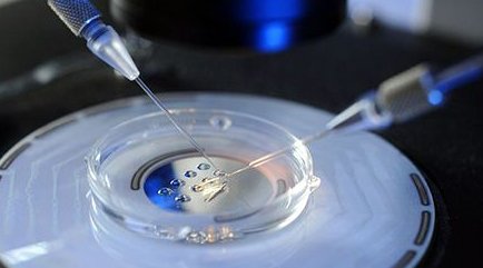 46岁绝经后可以做试管婴儿吗？国内正规医院试管费用大概是多少？