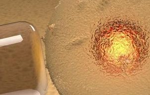 说话晚孩子智商都很高纯属谣言，聪不聪明和这些因素有关