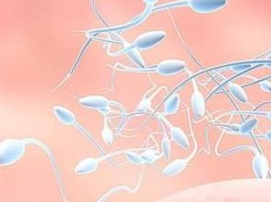 试管胚胎移植前子宫动脉血流sd正常值范围是多少？