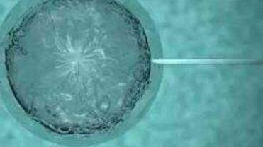 2026湖北省妇幼试管婴儿怎么样？试管婴儿成功如何？